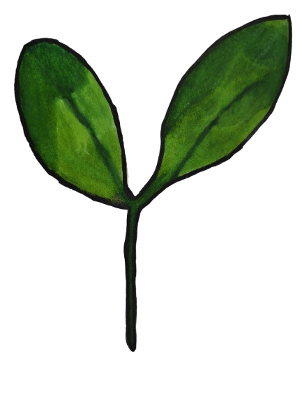 Natural ingredients